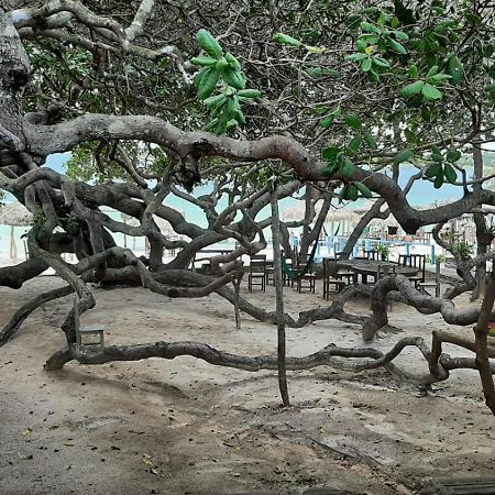 Appartamento Jangaloa Jijoca de Jericoacoara Esterno foto
