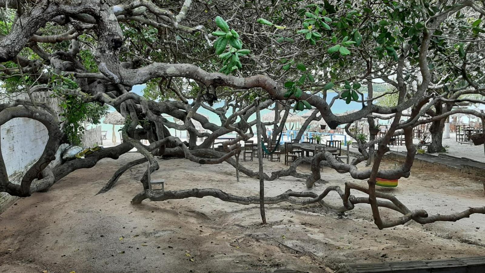 Appartamento Jangaloa Jijoca de Jericoacoara Esterno foto